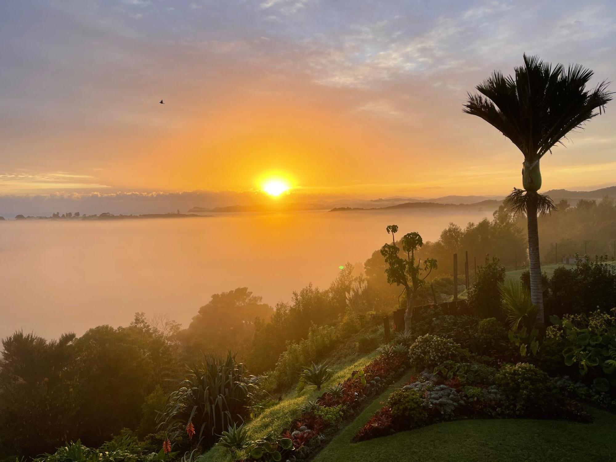 Baywaterviews Bed & Breakfast Haruru Ngoại thất bức ảnh